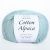 Infinity Cotton Alpaca ( 7212 DUST PETROL)  85% хлопок, 15 % беби альпака 50гр/150 м